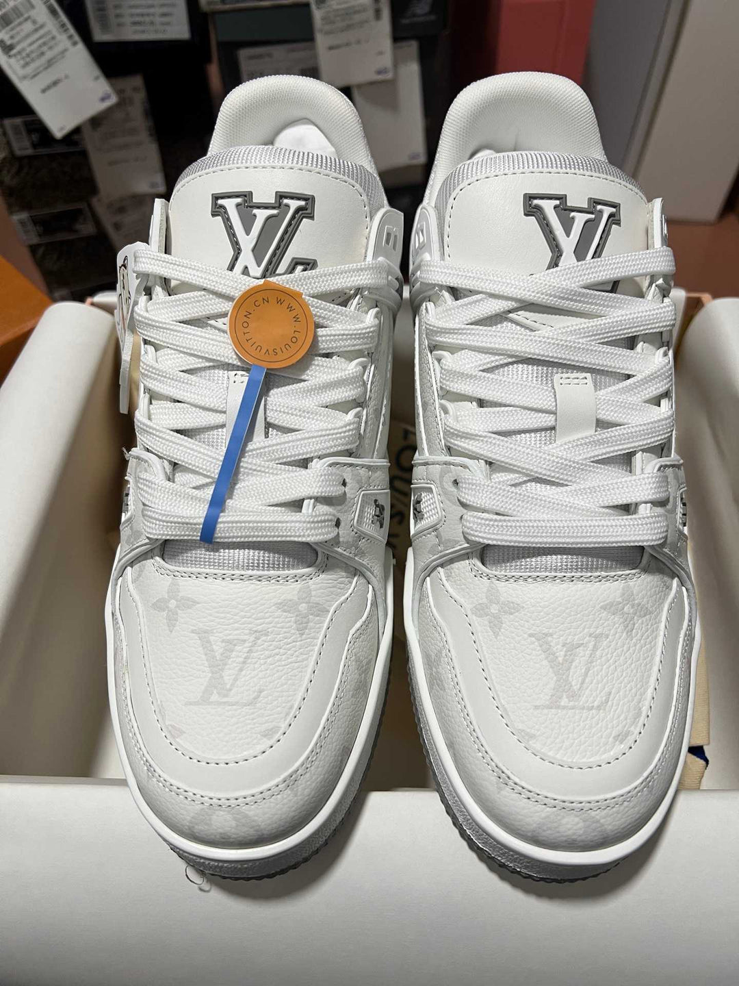LV Trainer