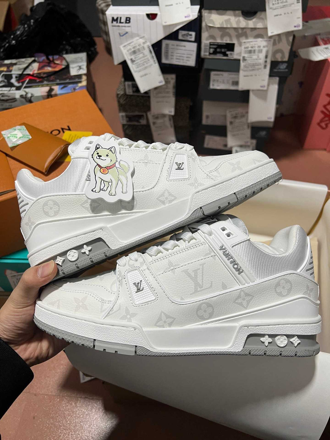 LV Trainer